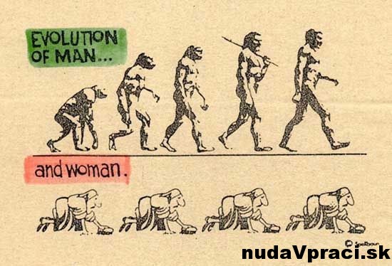Evolúcia