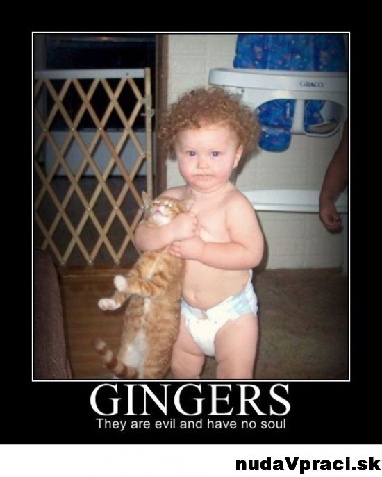 Ginger