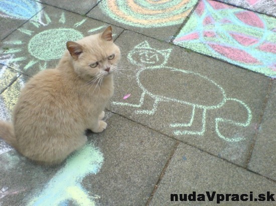Nemala ma nasrať