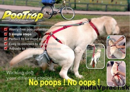 No poops! No oops!