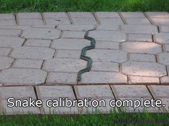Kalibrácia hada