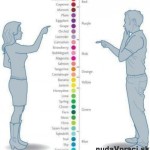 Ako vidíme farby