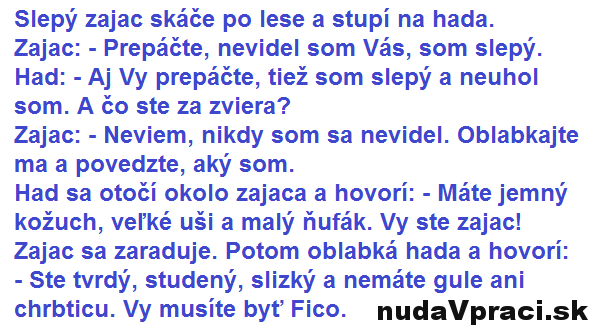 Slepý zajac skáče po lese