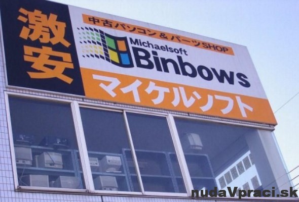 Michaelsoft Binbows