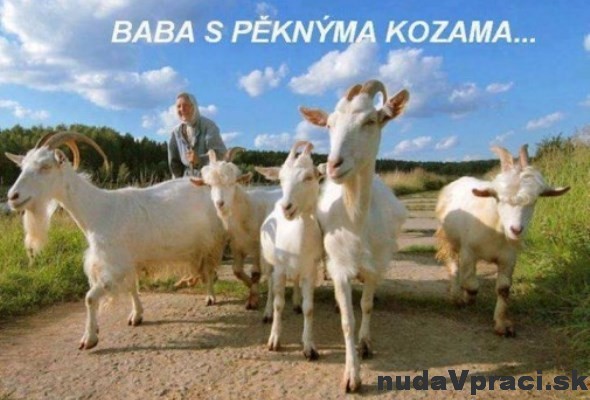 Baba s peknými kozami