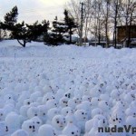 Vzbura snehuliakov