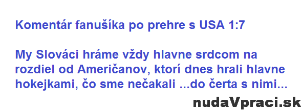 Komentár fanušíka po prehre s USA