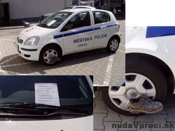 Mestskí policajti dostali na auto botičku