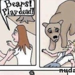 Medveď! Rýchlo hrajme mŕtve