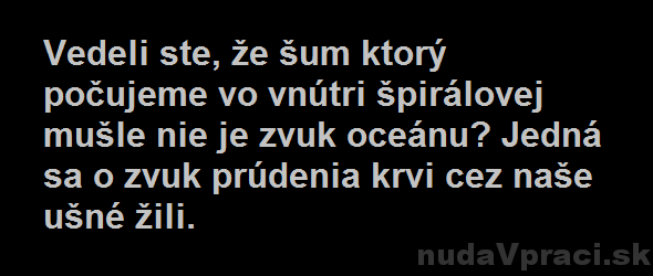 Šum vo vnútri špirálovej mušle