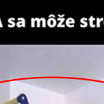 Konečne polica, ktorá za niečo stojí