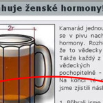 Dokázané! Pivo obsahuje ženské hormóny