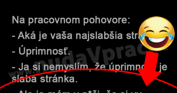 Na pracovnom pohovore