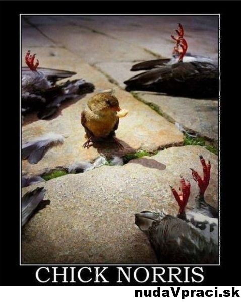 Chick Norris