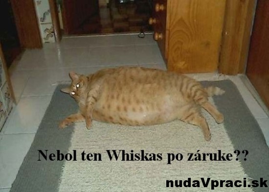 Whiskas