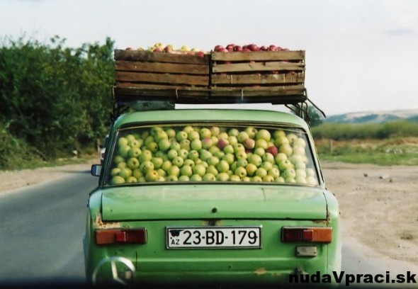 Jablková sezóna