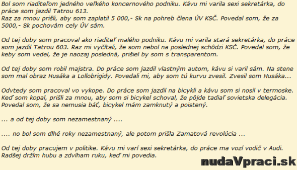Profesný životopis