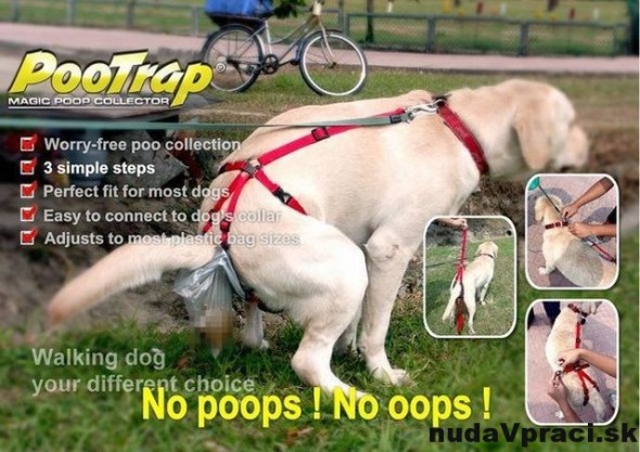 No poops! No oops!