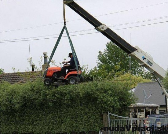 Ako zarovnať krovie