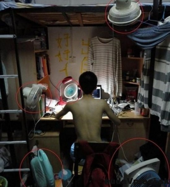 Posadnutý (chladom)