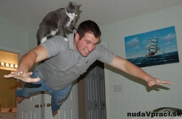 Mačka čo unáša ľudí