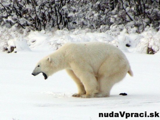 Poobedňajšia siesta