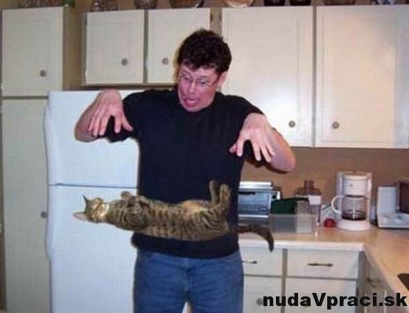 Levitujúca mačka