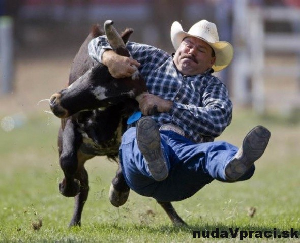 Levitácia je umenie