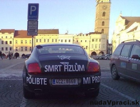Svojský postoj
