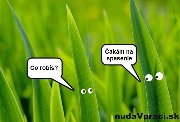 Niekde v tráve