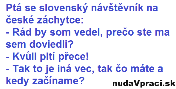 Slovenský návštevník na českej záchytke