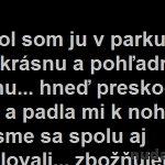 Stretol som ju v parku