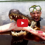 ViralBrothers: Kanadský žartík s aligátorom