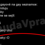 Píšu si na gay zoznamke